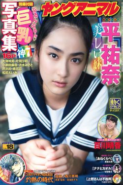护心电视剧